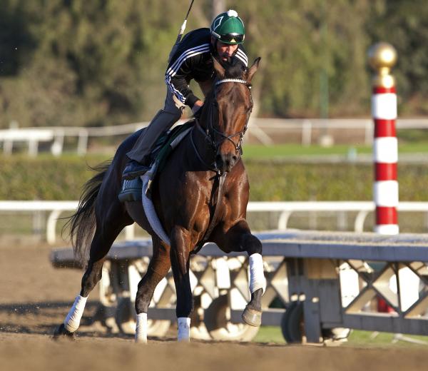 Charles Town Classic Game On Dude dangerous as potential lone speed